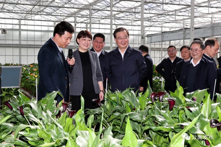 省委书记王宁在丽江调研强调，把握自身优势 聚焦旅游和高原特色农业抓好招商引资 (3).jpg