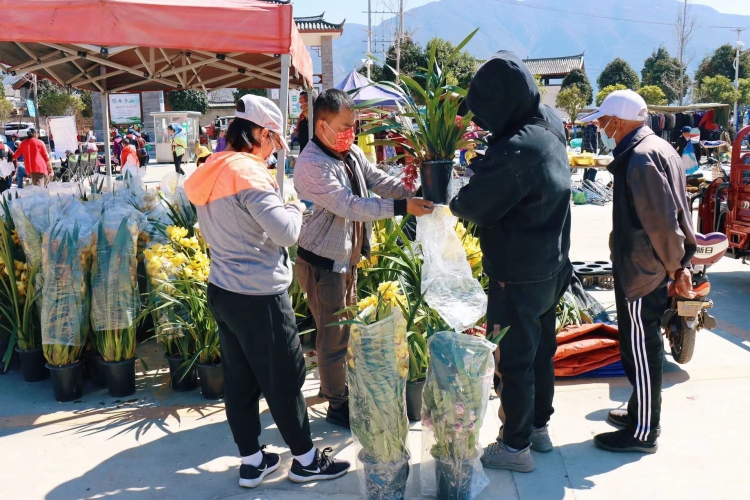 踏青 赏花 逛庙会……丽江人“三多节”仪式感满满 (9).jpg