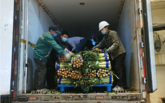保“沪”菜篮子，丽江生活物资驰援上海市杨浦区...1.png