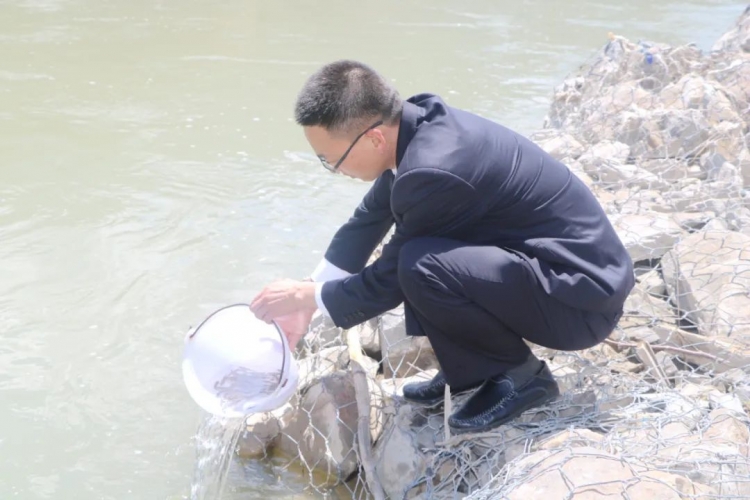 非法捕捞金沙江水产品，吴某某在巨甸增殖放流了1000余尾江鱼苗…… (1).jpg