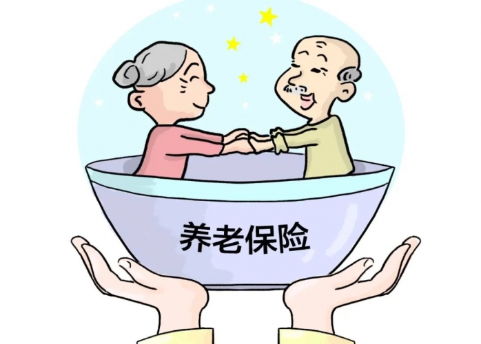 永胜县人社局开展基本养老保险扩面增效暨“康乃馨”服务行动