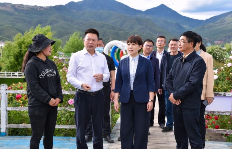 浦虹调研督导重大项目建设