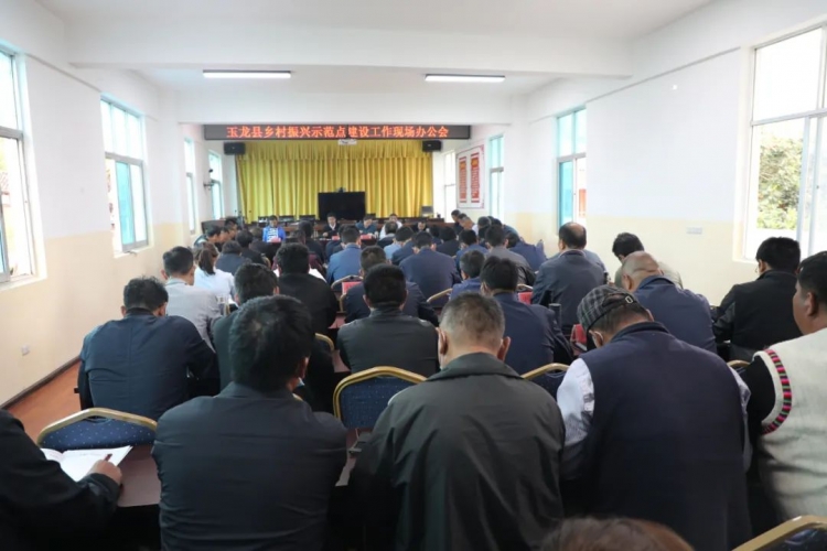 玉龙县召开乡村振兴示范点建设工作现场办公会.jpg
