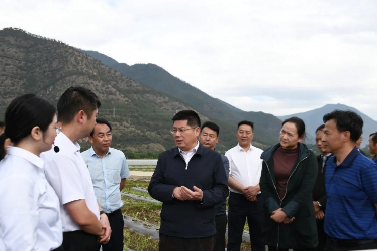 苏永忠调研烟叶生产工作时强调：做精做优做强 推动烟叶生产高质量发展.jpg