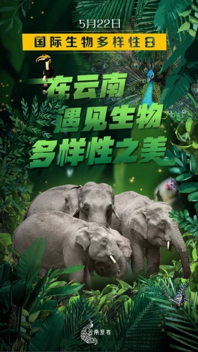 在云南，遇见生物多样性之美！.jpg
