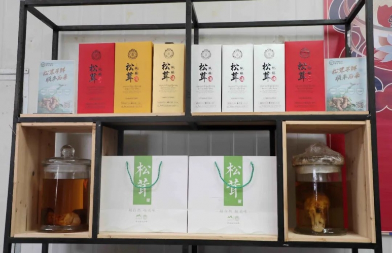 2022年丽江松茸启动会举行