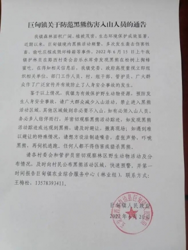 注意！玉龙县巨甸镇有熊出没