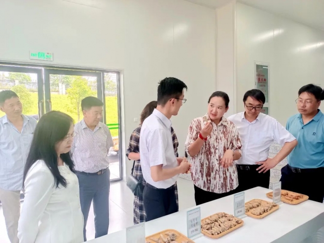 和秋珍率队外出招商考察.jpg