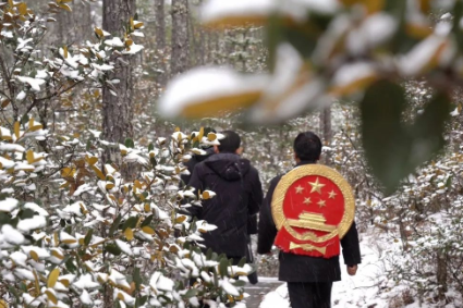 丽江法院受理毒品犯罪案件量连续5年下降 (1).png