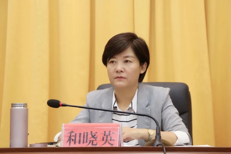 玉龙县党建带妇建工作会议召开