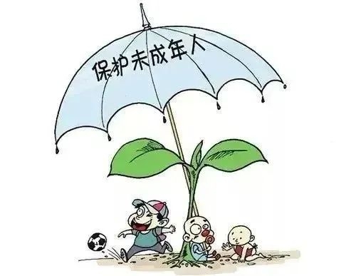 《反有组织犯罪法》来了，亮点看这里