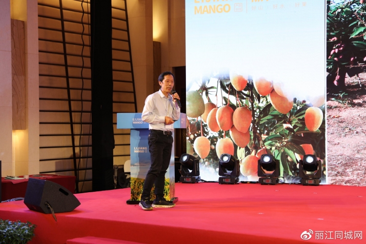 “丽江芒果”走出云南、走向全国、走向世界