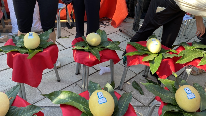芒果上台争霸 今年华坪芒果王结果出炉