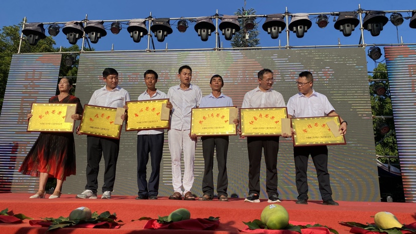 芒果上台争霸 今年华坪芒果王结果出炉