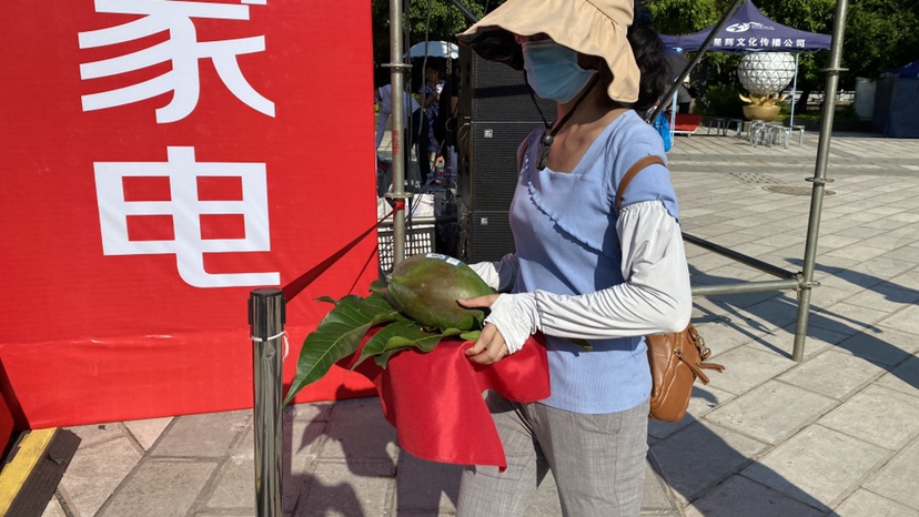 芒果上台争霸 今年华坪芒果王结果出炉