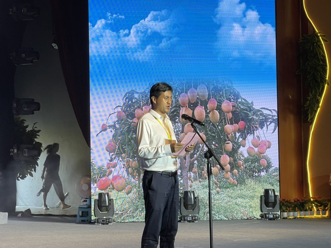 丽江华坪县举行芒果节颁奖暨文艺演出10