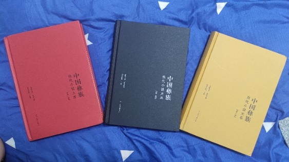在文化觉醒和复兴中进行新的精神创造 《中国彝族当代小说大系》出版发行