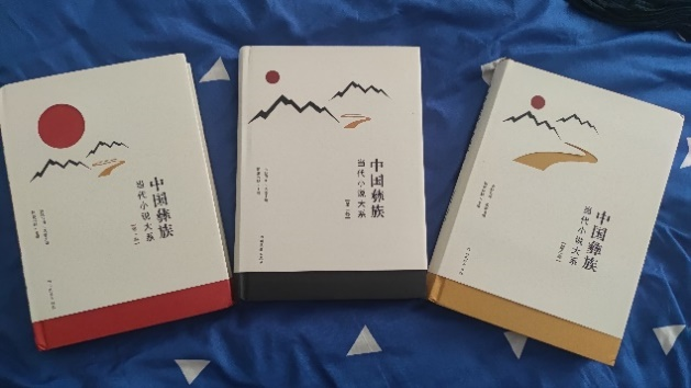 在文化觉醒和复兴中进行新的精神创造 《中国彝族当代小说大系》出版发行
