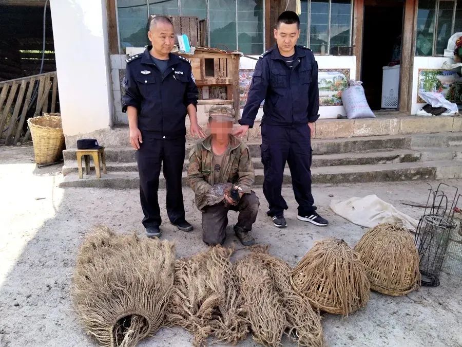 缴获作案工具10余件 这名男子因非法狩猎被依法采取刑事强制措施