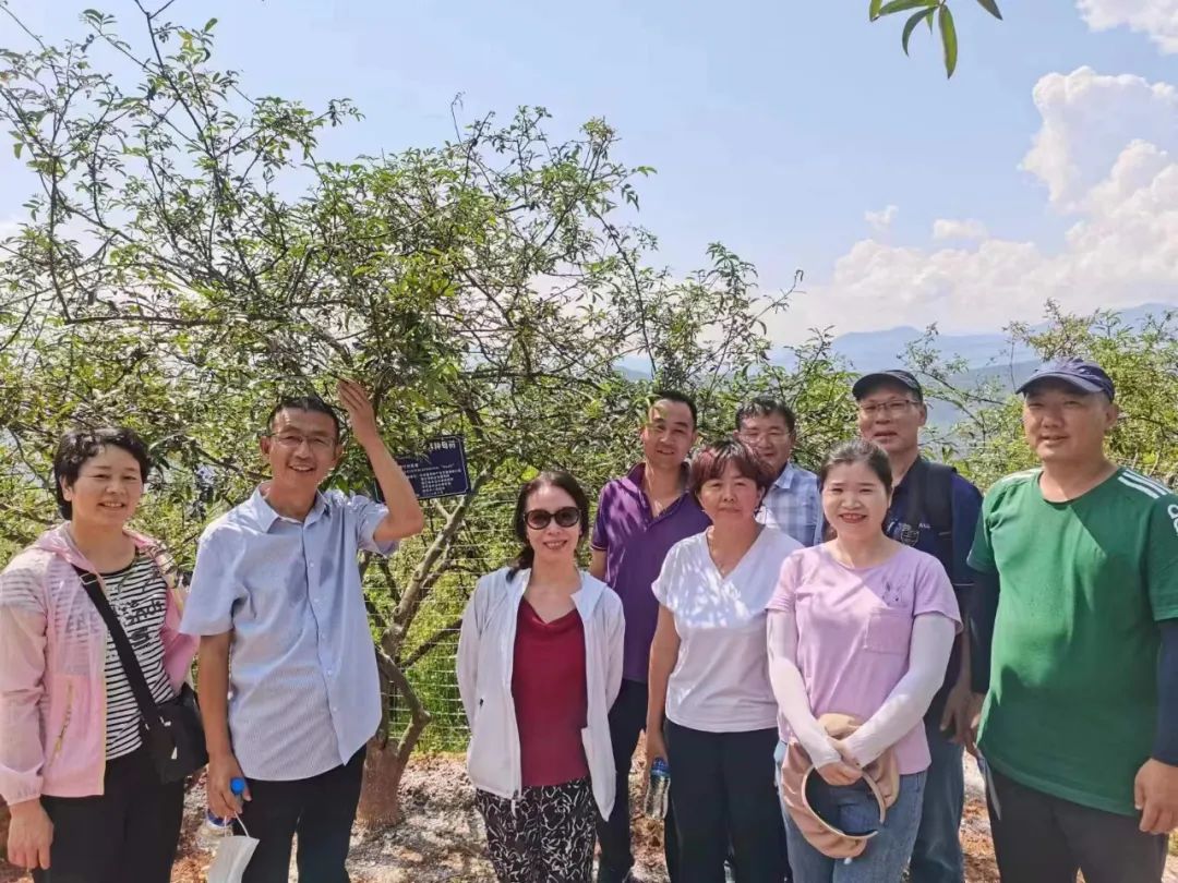 丽江首个植物新品种通过国家审查