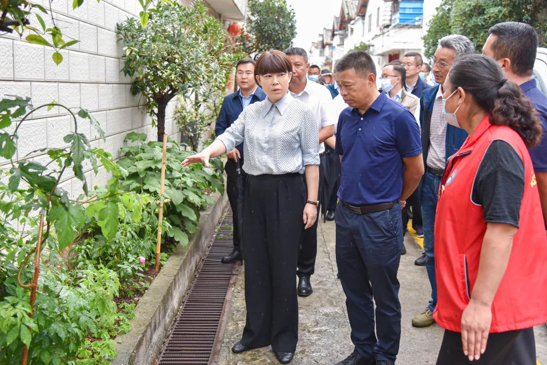 浦虹调研督导创文工作时强调：全民参与 持续发力 努力建设宜居宜业大美文明丽江