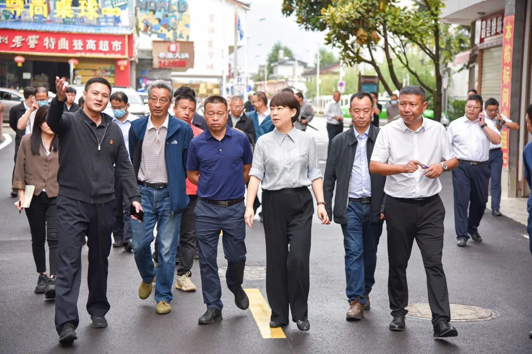 浦虹调研督导创文工作时强调：全民参与 持续发力 努力建设宜居宜业大美文明丽江