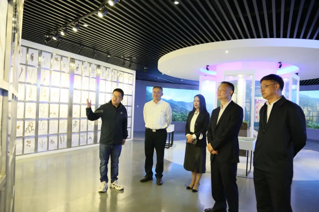 云南省人力资源和社会保障厅领导一行到丽师调研