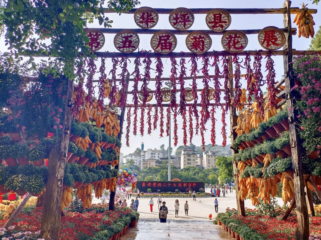 华坪花团锦簇迎国庆 (1).jpg