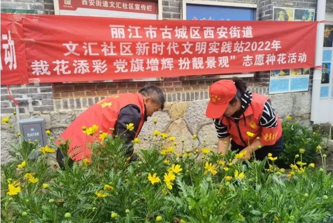 西安街道文汇社区开展志愿种花主题活动