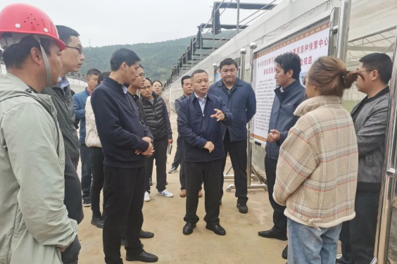 张伟专题调研沪滇协作项目时强调：提高政治站位，优化施工组织，全面加快项目建设进度.png