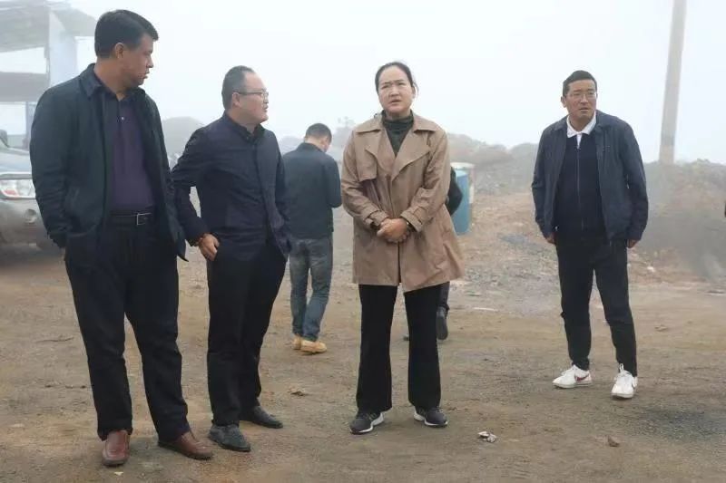 和秋珍到龙蟠、石头调研重点项目建设、疫情防控、乡村振兴、护林防火等工作.jpg