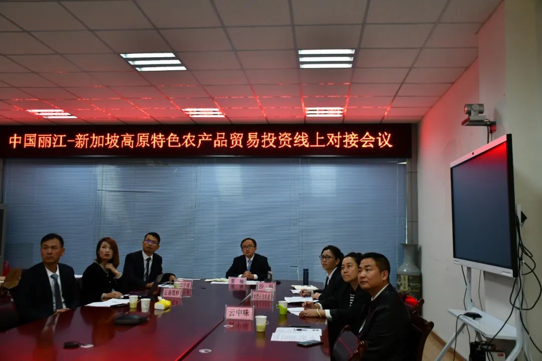 丽江与新加坡进行贸易投资线上对接 (2).jpg