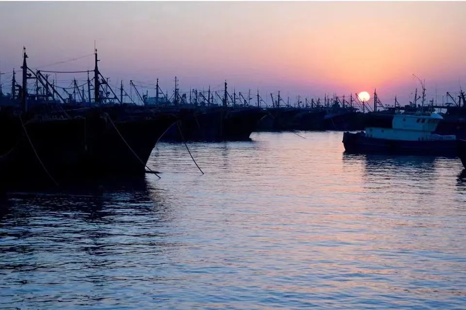 全球沿海城市正在下沉.jpg