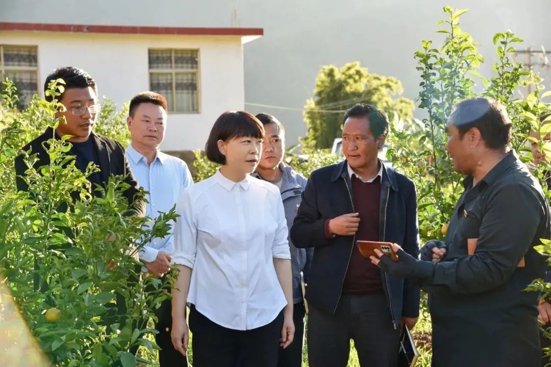 浦虹在宁蒗调研时强调：大力培育农村致富带头人 以产业振兴推动乡村振兴2.jpg