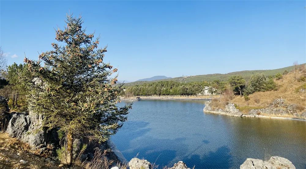玉龙雪山景区：以“绿美”建设助推生态旅游.jpg