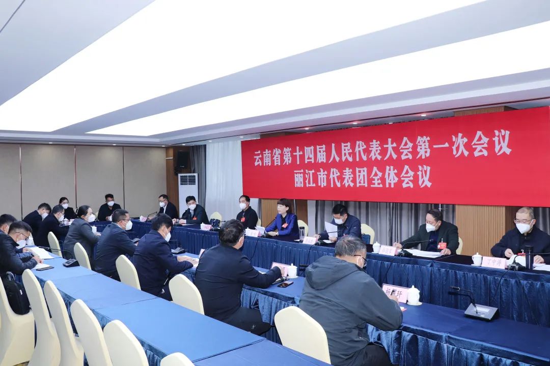 出席省人代会的丽江市代表团举行全体会议和临时党支部大会.jpg