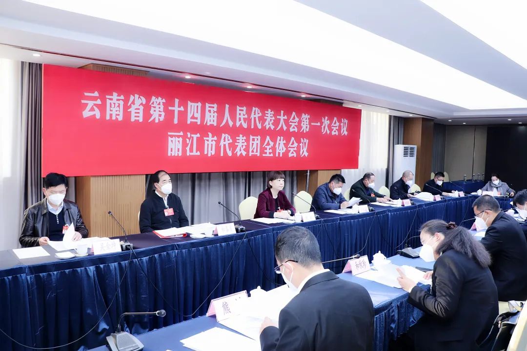 出席省人代会的丽江市代表团举行全体会议.jpg