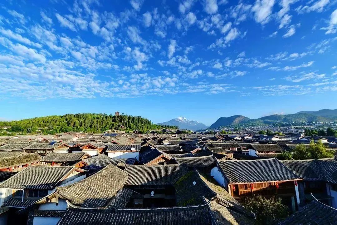 丽江 攀枝花两市合作将大有可为.jpg
