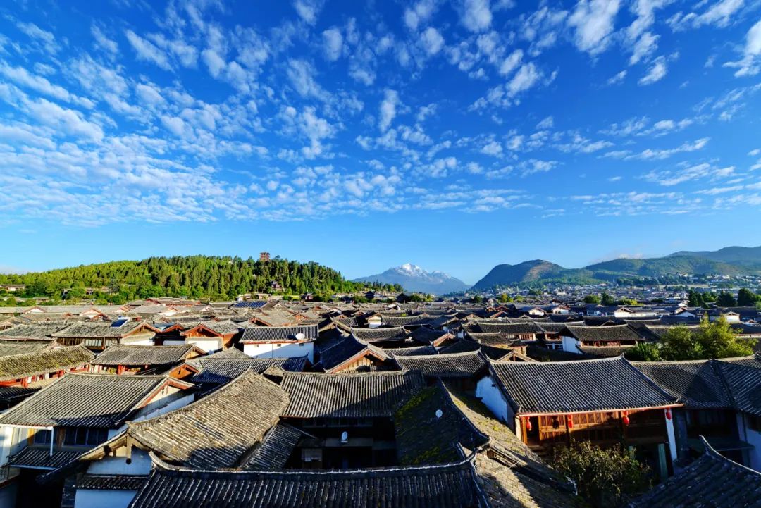 找差距 补短板  丽江旅游需要你的“金点子”.jpg