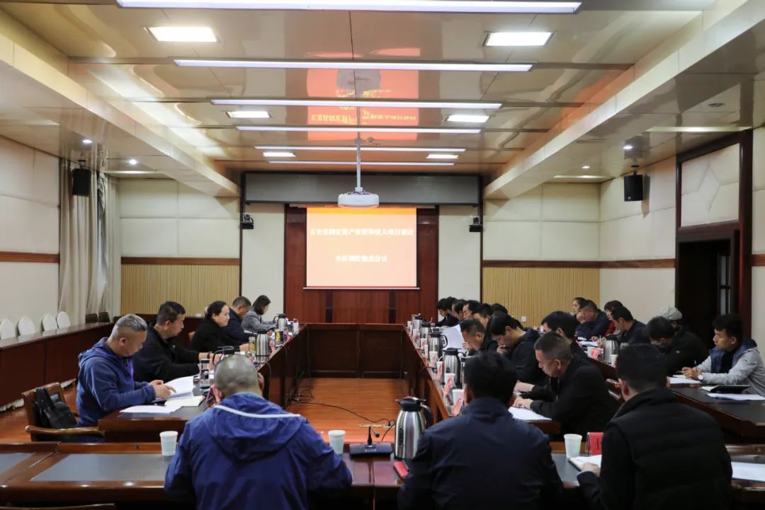 玉龙县召开全县固定资产投资和重大项目建设分析调度推进会议.jpg