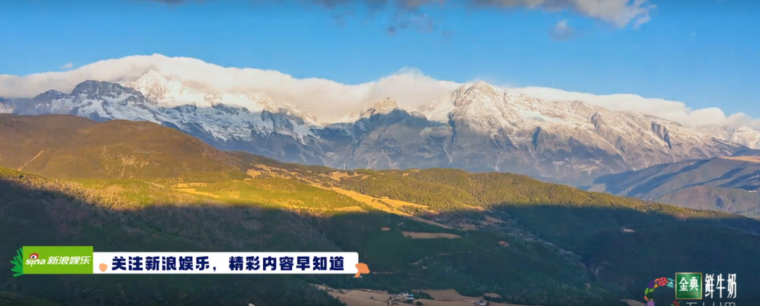 桃花3.png