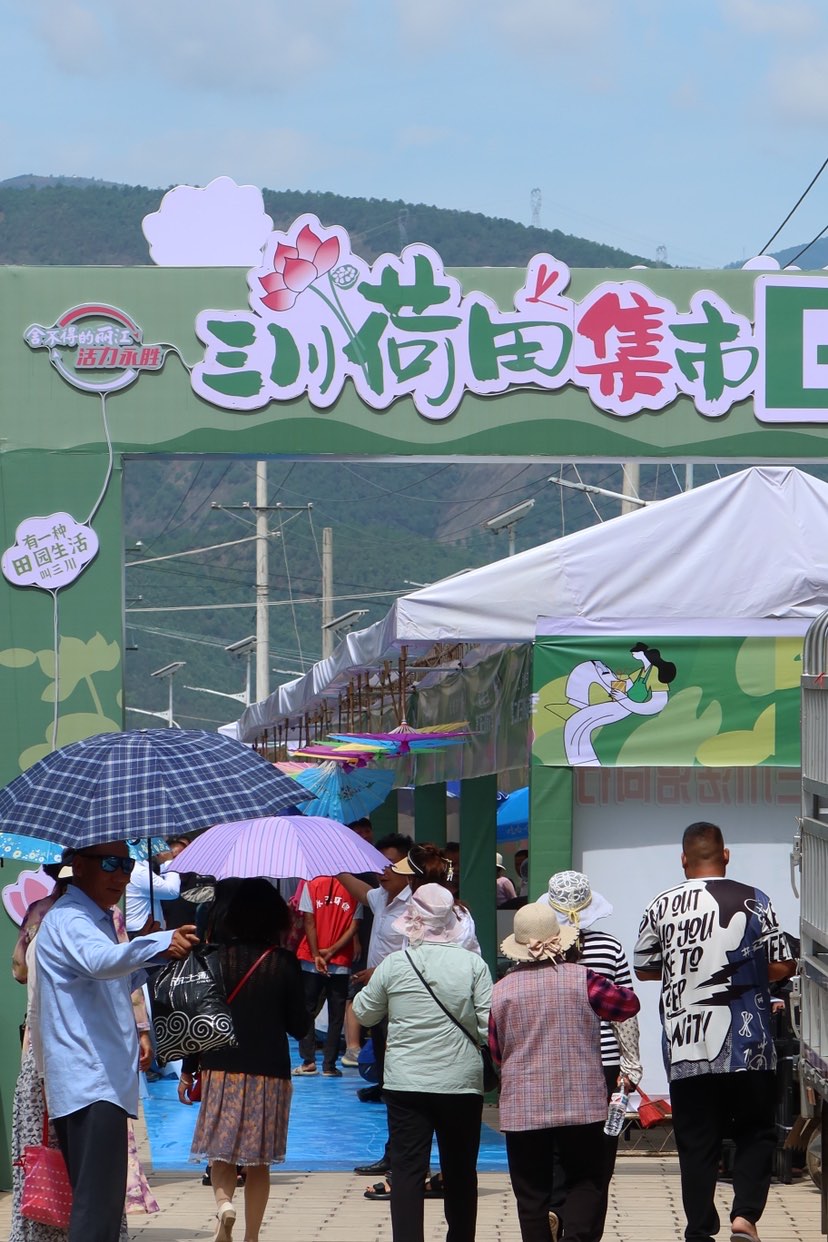 误入荷花深处 第二届三川荷花季“如梦”而至 (9).jpg