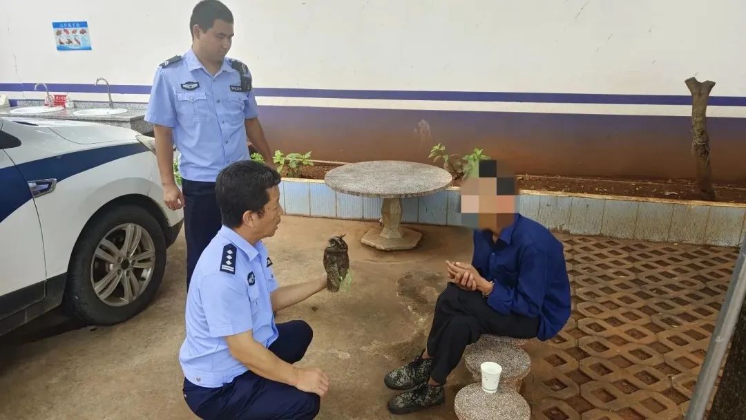 当街售卖国家二级保护动物！永胜一男子被处罚 (2).jpg