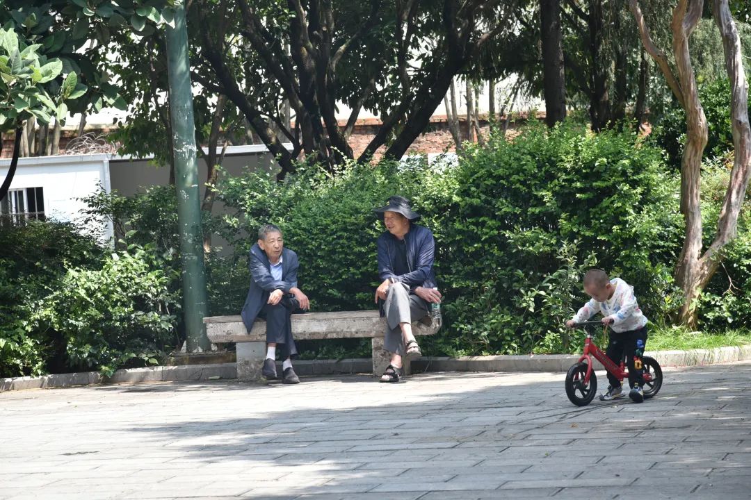 古城区金凯北片区改造成效显著 (1).jpg