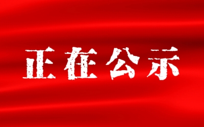 公示.png