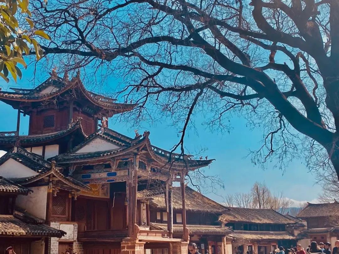 去有风的地方打卡，丽江开通沙溪古镇专线.jpg