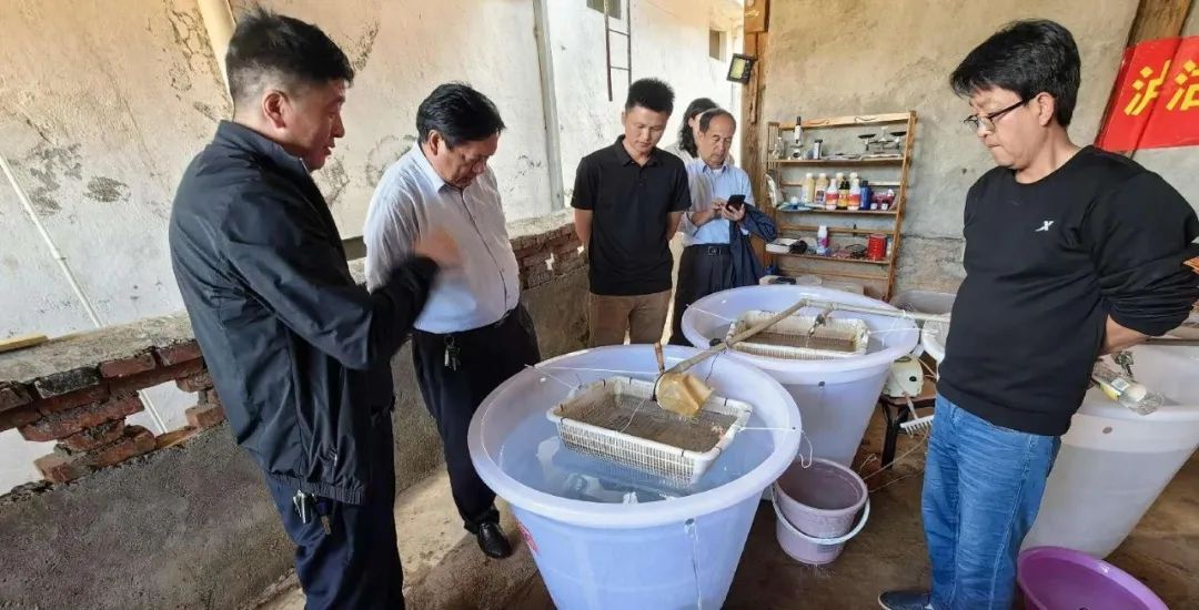 丽江泸沽湖人工繁殖项目通过验收，保护珍稀土著鱼类成功 (3).jpg