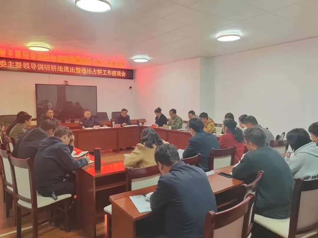 粮食安全保障，宁蒗县张伟书记强调耕地流出问题必须整改.jpg