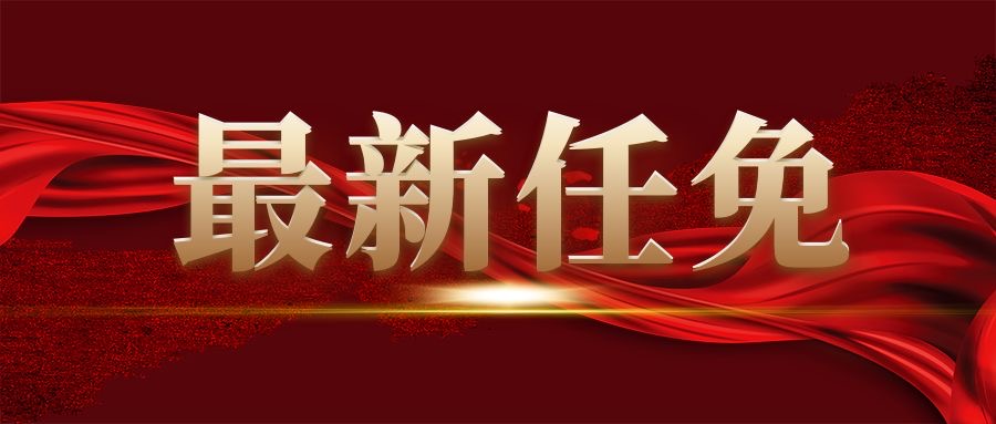 最新任免.JPG