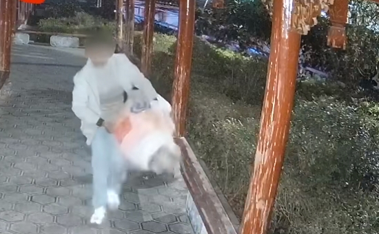 一男子为“泄愤”故意损坏监控，在忠义市场杀鸡宰鸭、偷吃香肠，事后还在现场围观！.png